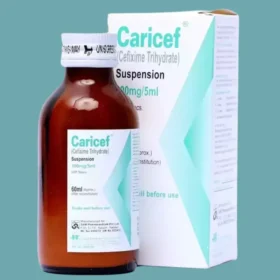 caricef syrup 100mg/5ml